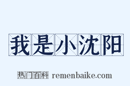 我是小沈阳是什么意思的图片